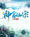 万古第一仙宗